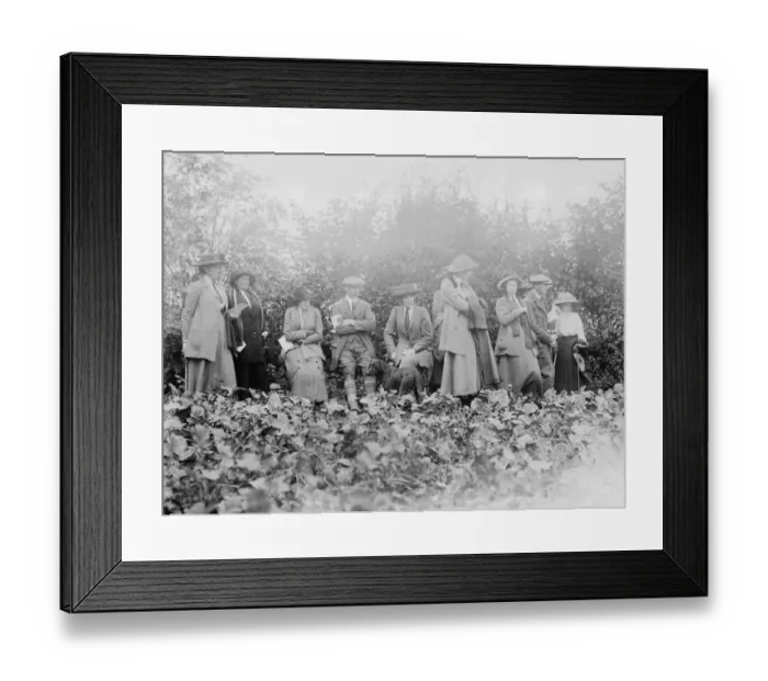 Framed Print : Dog Trials Framed Print : Dog Trials
