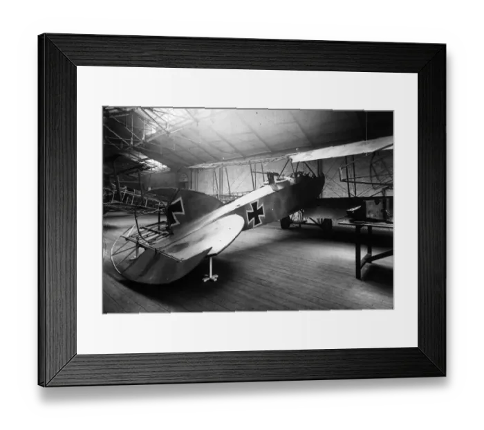 Framed Print : German Albatross Framed Print : German Albatross