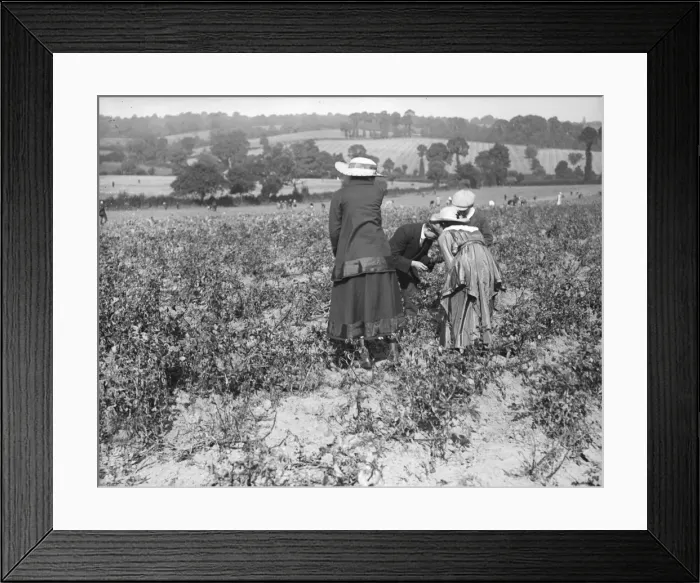 Framed Print : Souvenir Hunters Framed Print : Souvenir Hunters