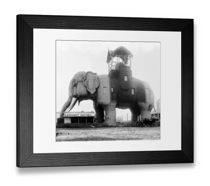 Framed Print : Elephant Hotel Framed Print : Elephant Hotel