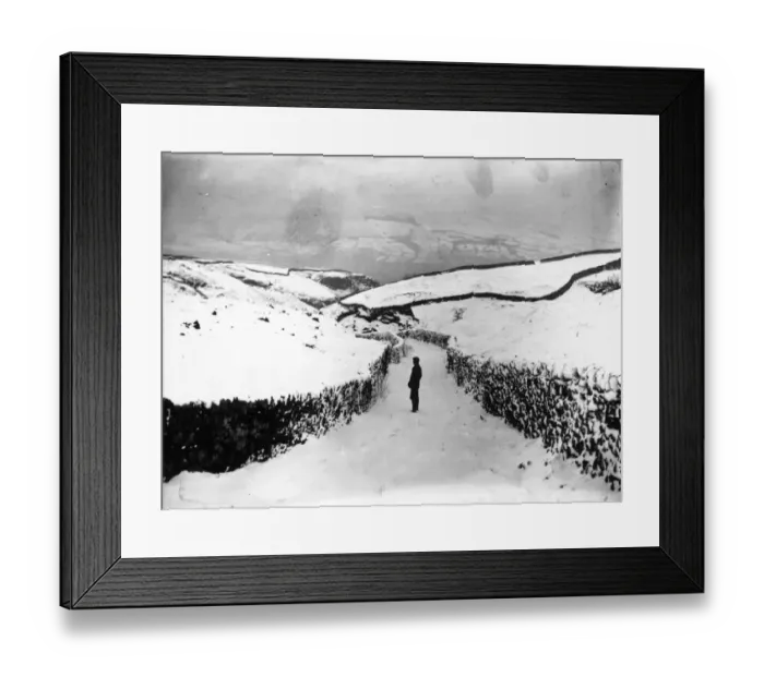 Framed Print : Lead Picking