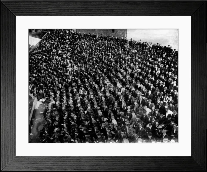 Framed Print : Baseball Crowd Framed Print : Baseball Crowd