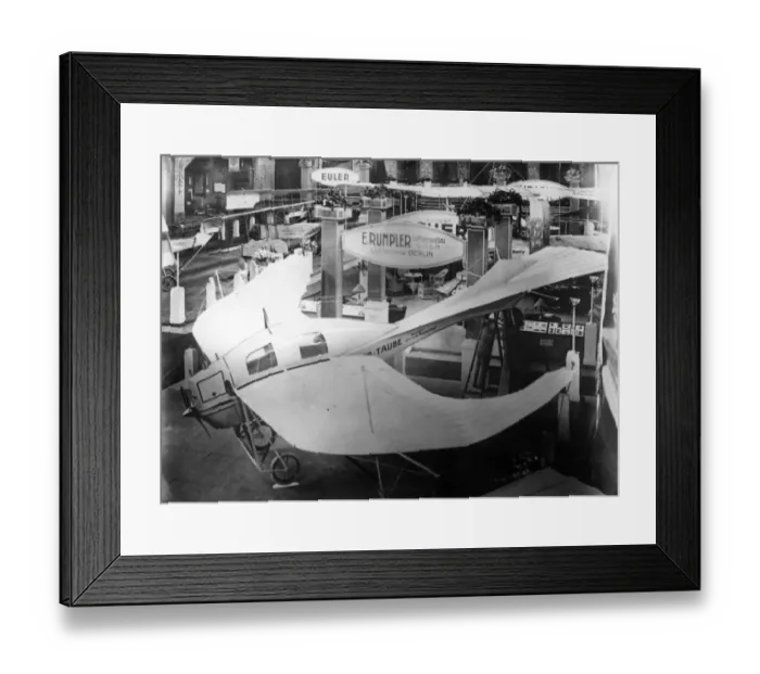 Framed Print : Bird Plane Framed Print : Bird Plane