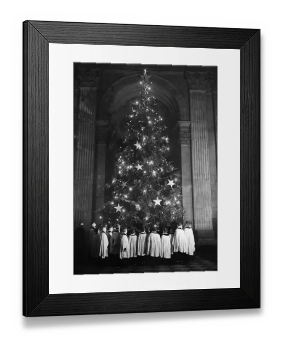 Framed Print : Christmas Tree Framed Print : Christmas Tree