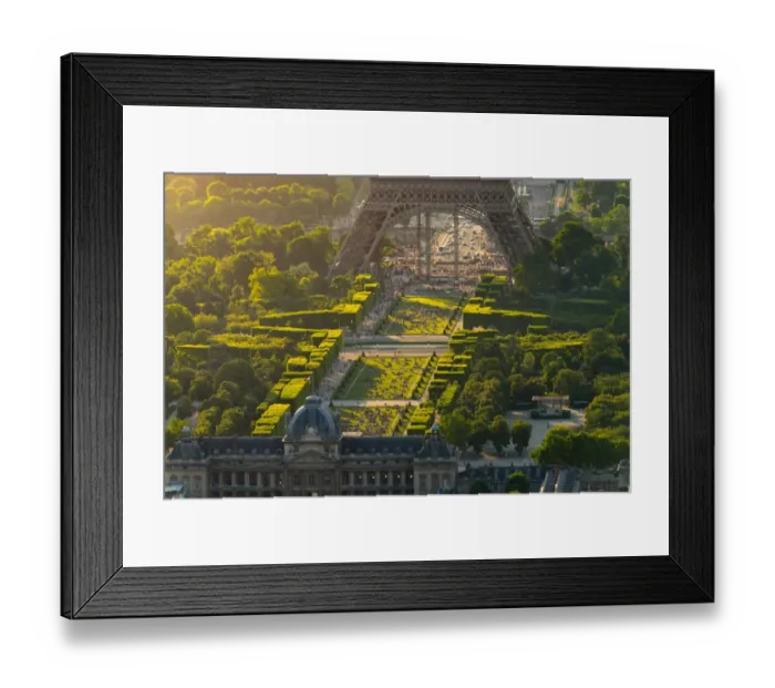 Framed Print : Champ de Mars in summer Framed Print : Champ de Mars in summer