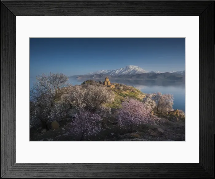 Framed Print : Holy cross Cathedral at Akdamar island in Springtime Framed Print : Holy cross Cathedral at Akdamar island in Springtime