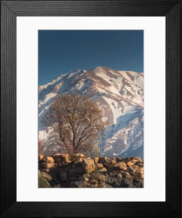 Framed Print : Akdarmar island in Spring time with Cherry blossom Framed Print : Akdarmar island in Spring time with Cherry blossom