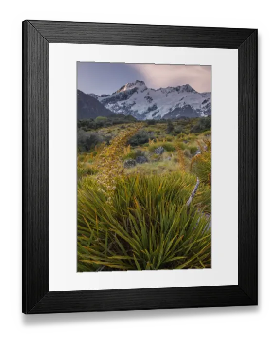 Framed Print : Mountcook national park, New zealand Framed Print : Mountcook national park, New zealand