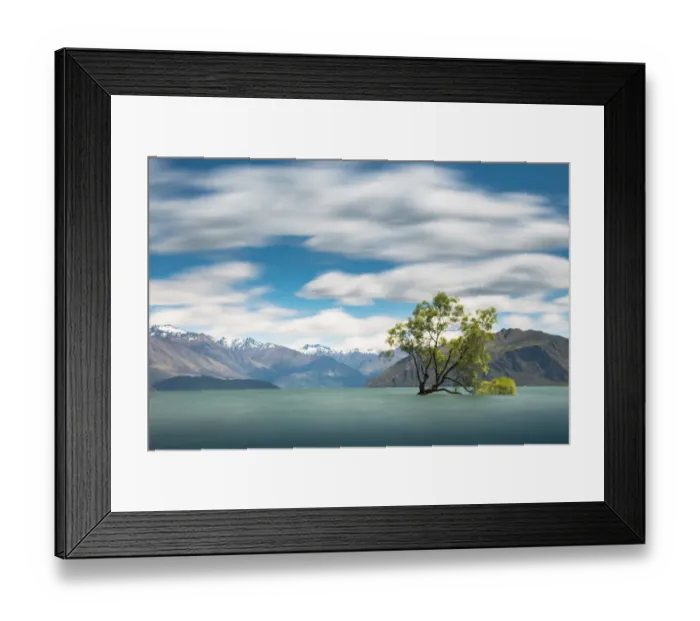 Framed Print : single tree at Lake Wanaka