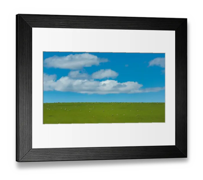 Framed Print : green grass field and blue sky at New Zealand
