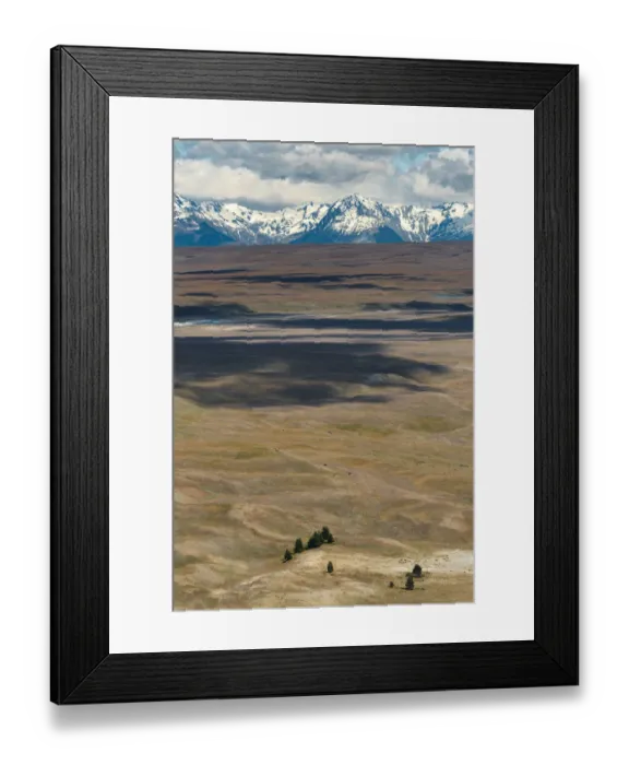 Framed Print : group of trees at Lake Alexandrina, New Zealand Framed Print : group of trees at Lake Alexandrina, New Zealand