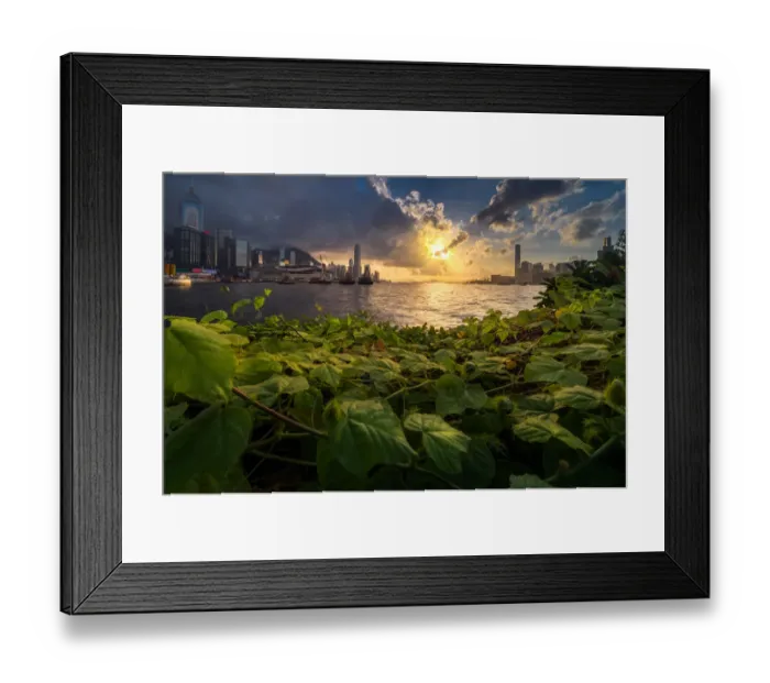 Framed Print : Hongkong skyline with Greenery foreground Framed Print : Hongkong skyline with Greenery foreground