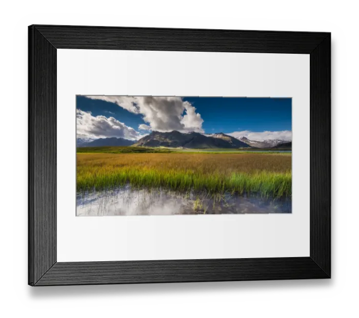 Framed Print : Summer grassland in Iceland Framed Print : Summer grassland in Iceland