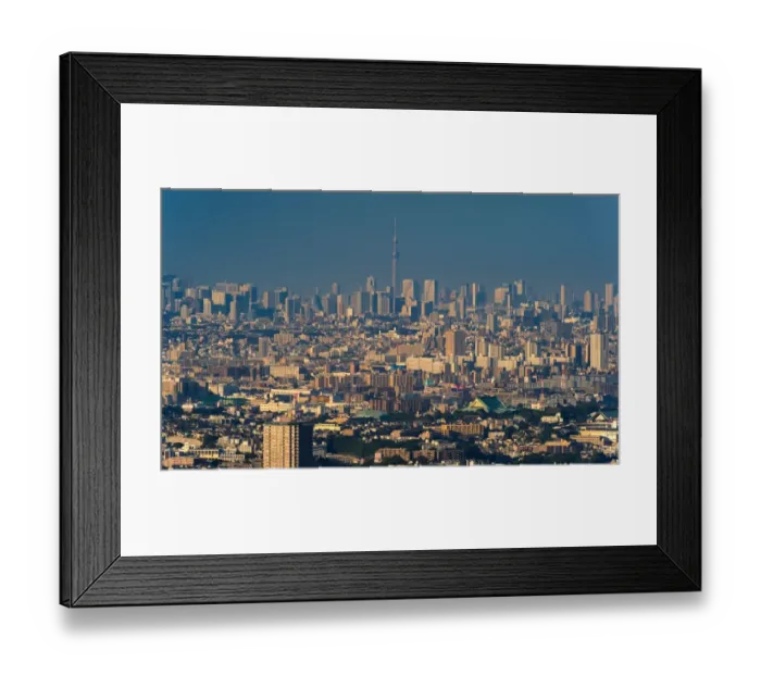 Framed Print : Tokyo metropolis Framed Print : Tokyo metropolis
