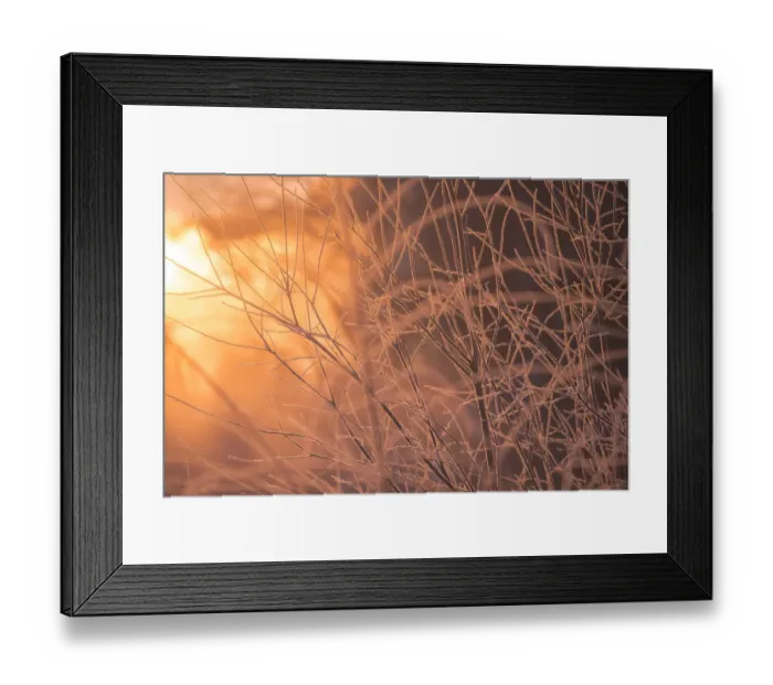 Framed Print : Morning winter landscape at Akan forest Framed Print : Morning winter landscape at Akan forest