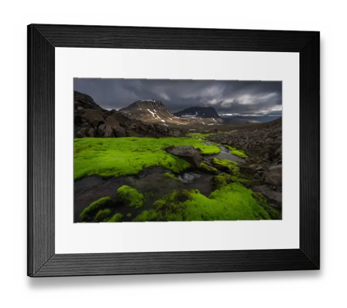 Framed Print : Iceland moss creek at West fjord Framed Print : Iceland moss creek at West fjord