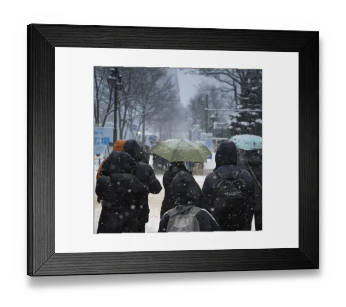 Framed Print : Tourists along the street in Sapporo