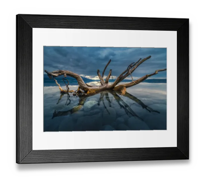 Framed Print : Tree trunk reflection over Lake pukaki
