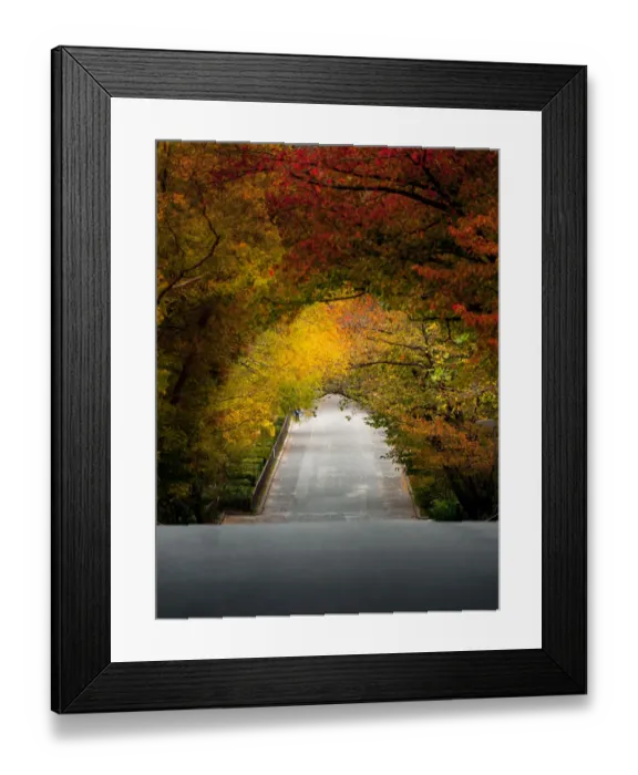 Framed Print : Autumn ambience corridor Framed Print : Autumn ambience corridor