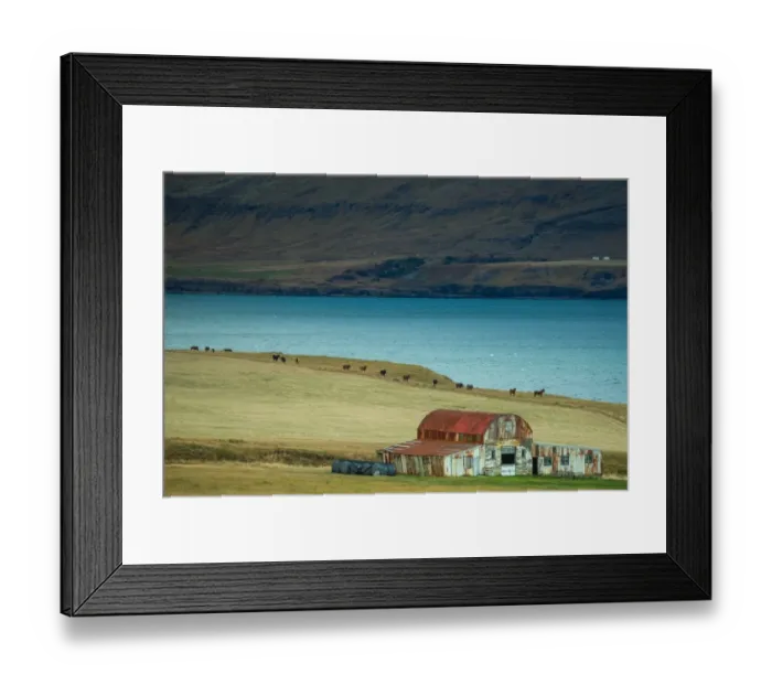 Framed Print : Old house in Iceland horse farm Framed Print : Old house in Iceland horse farm