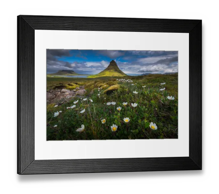 Framed Print : Kirkjufell with flower field foreground Framed Print : Kirkjufell with flower field foreground
