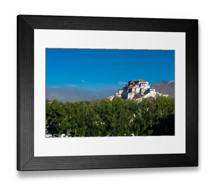 Framed Print : Side view of Potala palace Framed Print : Side view of Potala palace
