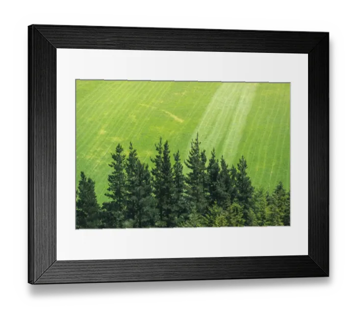 Framed Print : Agricultural field at New zealand Framed Print : Agricultural field at New zealand