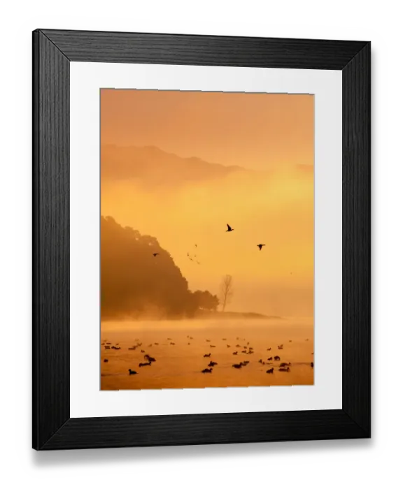 Framed Print : Kawaguchi lake with flying ducks and mist Framed Print : Kawaguchi lake with flying ducks and mist