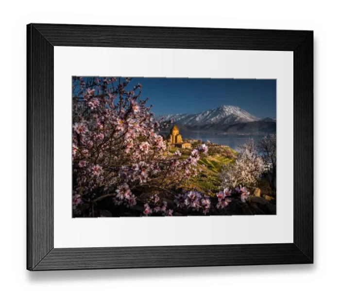 Framed Print : Cherry blossoms at the Armanian church Framed Print : Cherry blossoms at the Armanian church