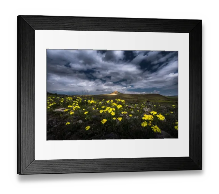 Framed Print : wild flower field in Turkey Framed Print : wild flower field in Turkey