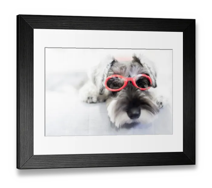 Framed Print : Puppy wearing red glasses Framed Print : Puppy wearing red glasses