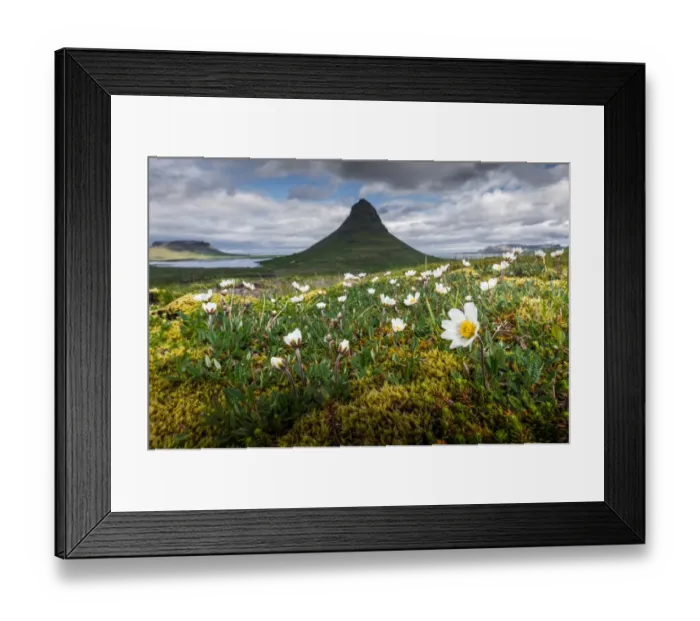 Framed Print : Kirkjufell mountain with a nice bush foreground Framed Print : Kirkjufell mountain with a nice bush foreground