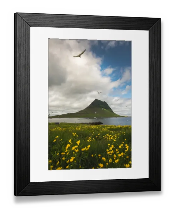 Framed Print : Kirkjufell mountain with a nice bush foreground Framed Print : Kirkjufell mountain with a nice bush foreground