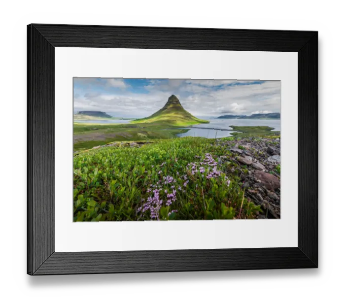 Framed Print : Kirkjufell mountain with shrubs foreground Framed Print : Kirkjufell mountain with shrubs foreground