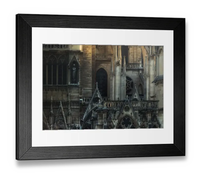 Framed Print : Notre dame architecture detail Framed Print : Notre dame architecture detail