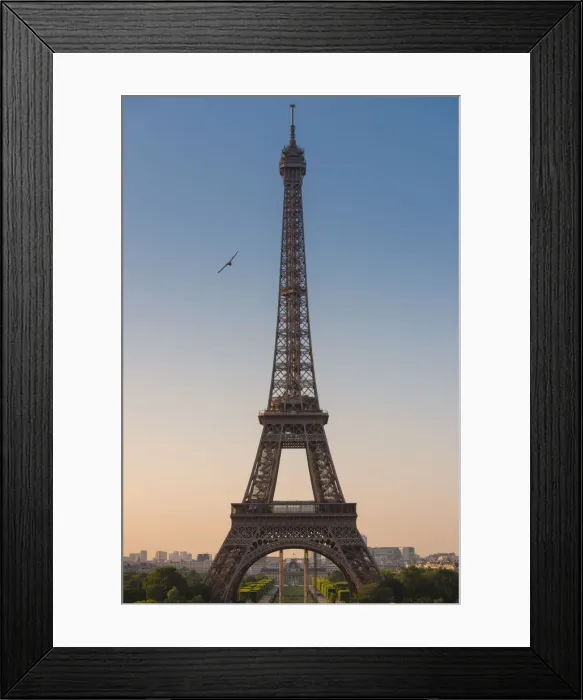 Framed Print : Eiffel tower at sunrise Framed Print : Eiffel tower at sunrise