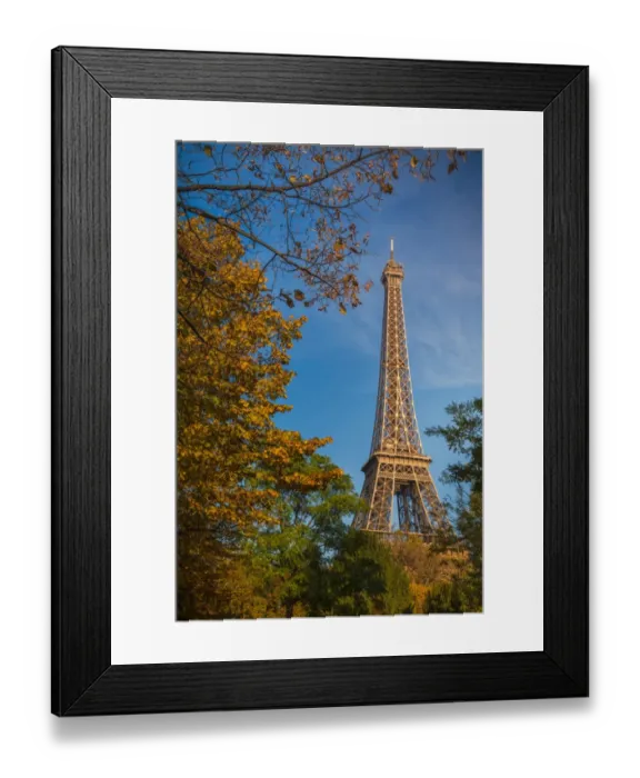 Framed Print : Autumn in Paris Framed Print : Autumn in Paris