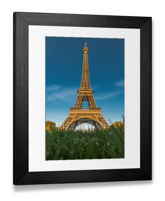 Framed Print : Eiffel tower with grass foreground Framed Print : Eiffel tower with grass foreground