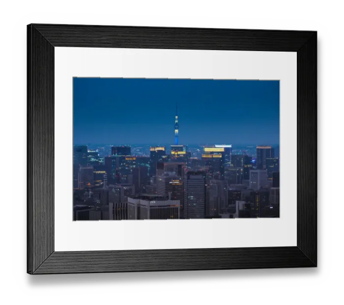 Framed Print : Tokyo Skyline Framed Print : Tokyo Skyline