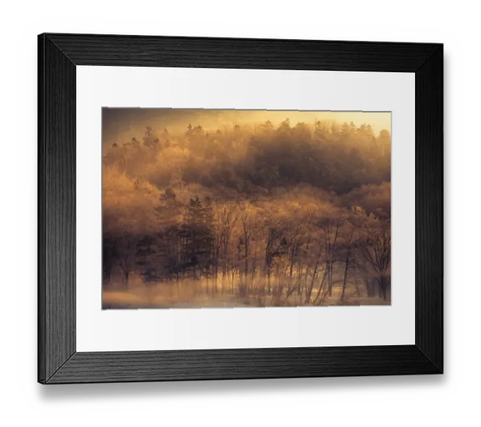 Framed Print : Morning light at winter forest Framed Print : Morning light at winter forest