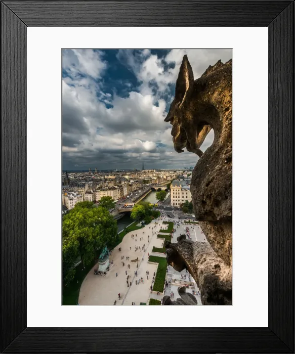 Framed Print : Top view of Paris Framed Print : Top view of Paris