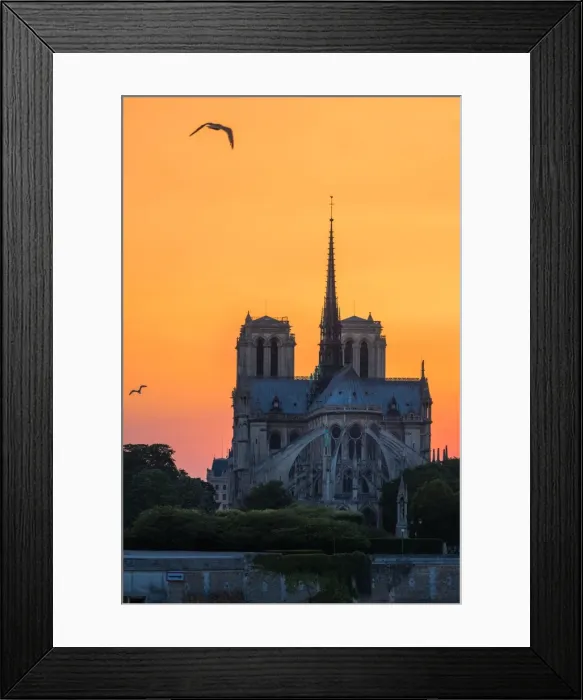 Framed Print : Sunset view of Notre Dame cathedral Framed Print : Sunset view of Notre Dame cathedral