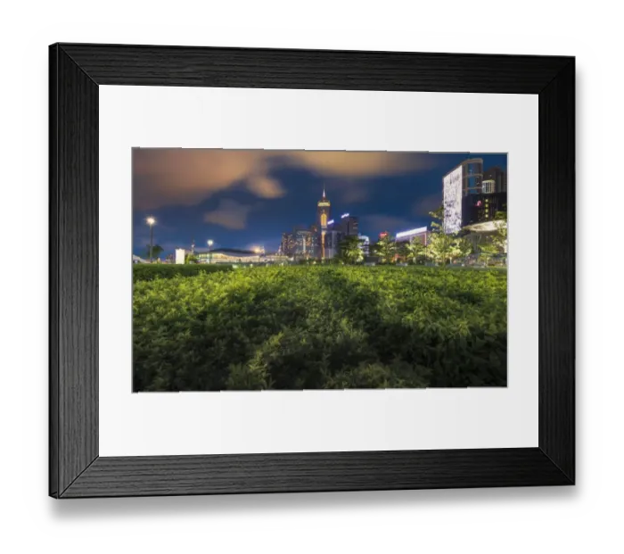 Framed Print : Hong Kong Central Business District with shrubs foreground Framed Print : Hong Kong Central Business District with shrubs foreground