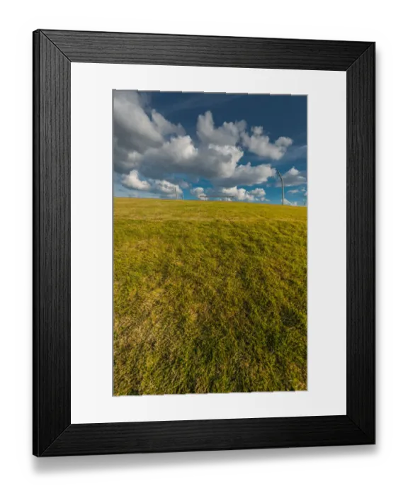 Framed Print : Lawn space at Osanbashi pier Framed Print : Lawn space at Osanbashi pier