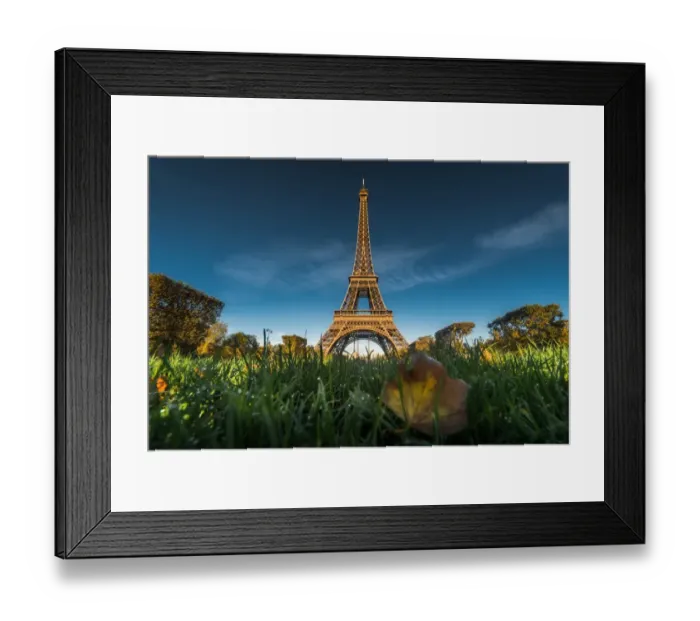 Framed Print : Eiffel tower with autumn leaf foreground Framed Print : Eiffel tower with autumn leaf foreground