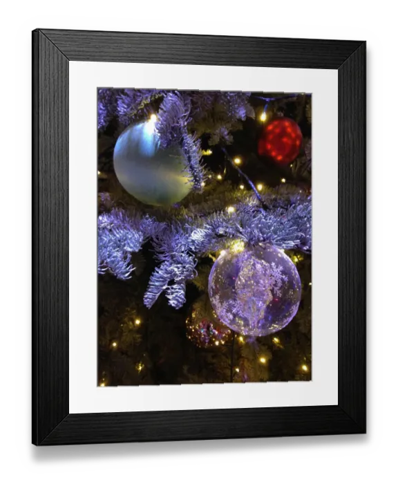 Framed Print : Oh Christmas tree Framed Print : Oh Christmas tree