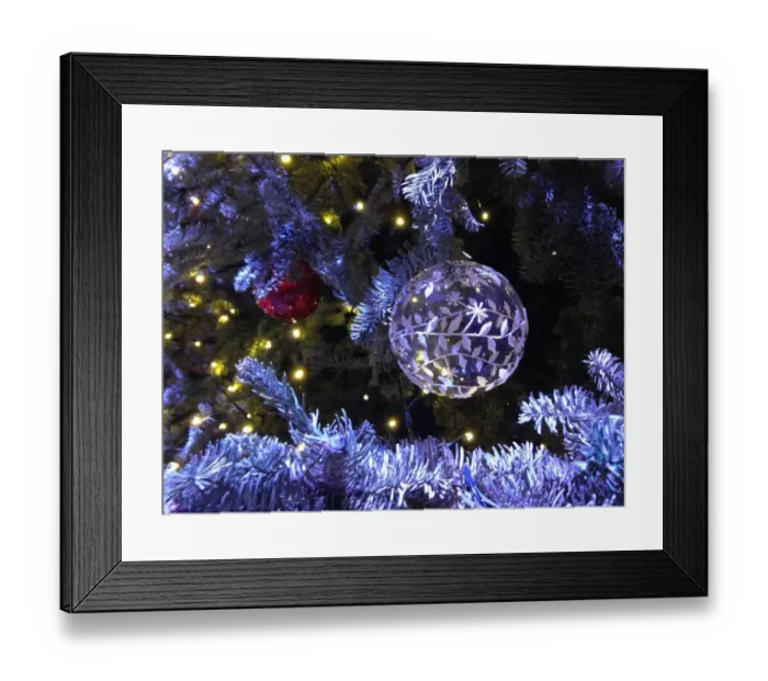 Framed Print : Oh Christmas tree Framed Print : Oh Christmas tree