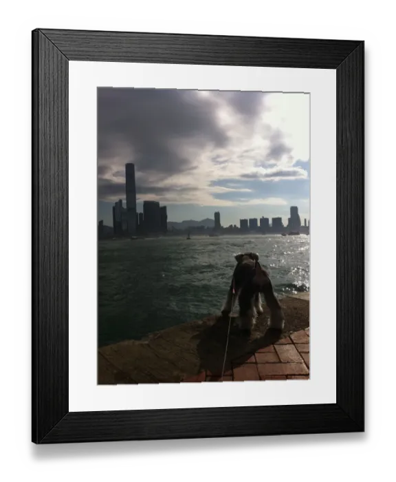 Framed Print : Walking the Dog Framed Print : Walking the Dog