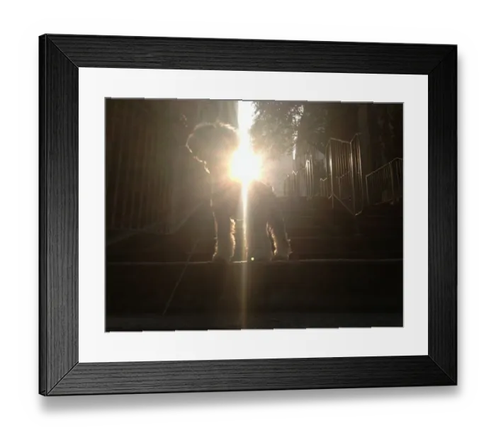 Framed Print : Walking the Dog Framed Print : Walking the Dog