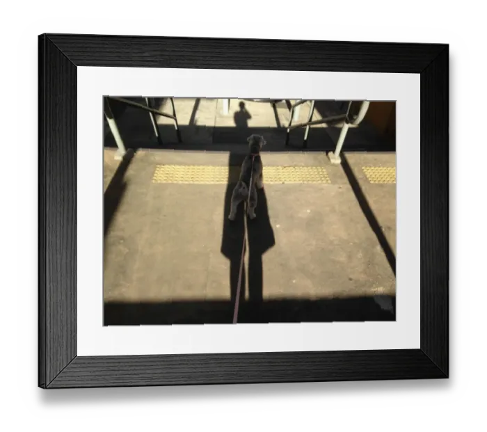 Framed Print : Walking the Dog